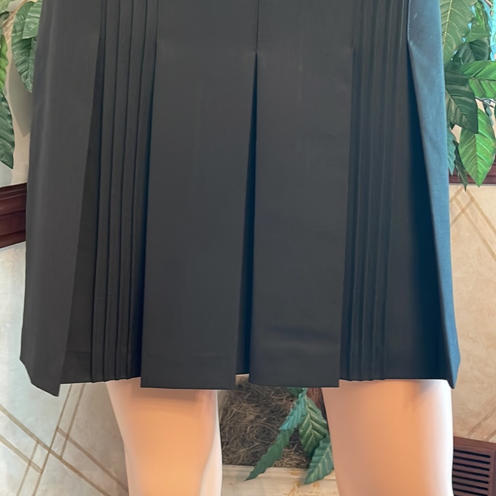 THE LIMITED FRONT PLEAT SKIRT - Picture 3 of 11